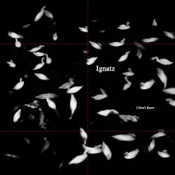 I Don't Know by Ignatz