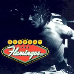 Flamingos by Bunbury