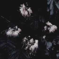 Silcasoid Beats Vol. I by 0081