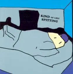 $100 Room by Kind of Like Spitting