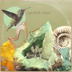 Fossils by Juan Rios