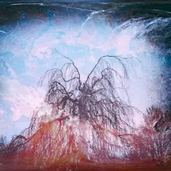 The Long Way Home by On Wings of Wax