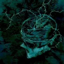 Instinct: Decay by Nachtmystium
