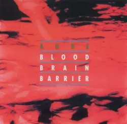 Blood-Brain Barrier by Aube