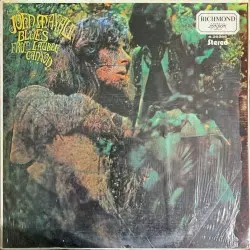 Blues From Laurel Canyon by John Mayall