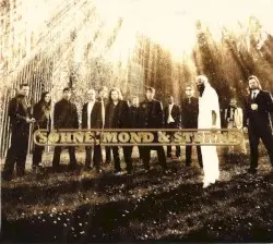 Söhne, Mond & Sterne by Söhne Mannheims