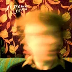 Lemons by Ty Segall