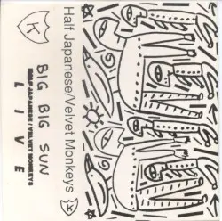 Big Big Sun by Half Japanese / Velvet Monkeys