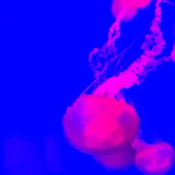 Pale II by $un $keletons