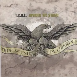 Divided We Stand by T.S.O.L.