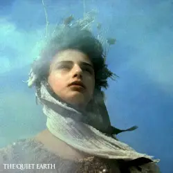 The Quiet Earth by Bart Graft