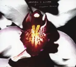 Cellophane Memories by Chrystabell & David Lynch
