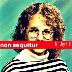 Non Sequitur by Tmthy Trtl