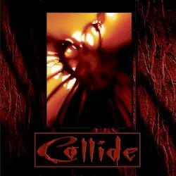 Beneath the Skin by Collide
