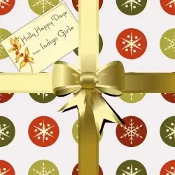 Holly Happy Days by Indigo Girls