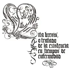 Vita Brevis by Doce Fuegos
