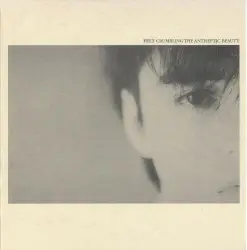 Crumbling the Antiseptic Beauty by Felt