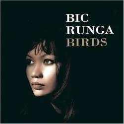 Birds by Bic Runga