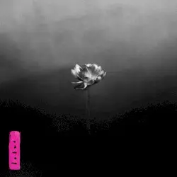Lotus by Little Simz