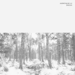 Harmonium I-VI by Zimoun