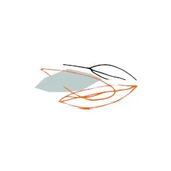 I suppose I'm your future by The Humble Bee & Benoît Pioulard