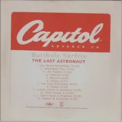 The Last Astronaut by Butthole Surfers
