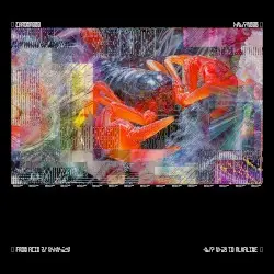 CHROMA 000 by Bicep