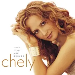 Never Love You Enough by Chely Wright