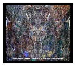 Be in Heaven by Dissecting Table
