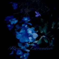 Rose / Lavender by Sadness