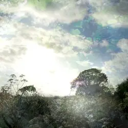Spring Light by Ishq
