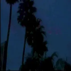 TBA (2018) by Caliente Mirage