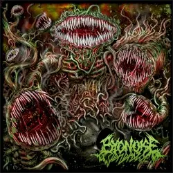 Turbulent Biogenesis by ByoNoiseGenerator