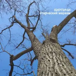 Старческий маразм by Кирпичи