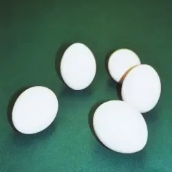 Five Eggs by Dumbo Gets Mad