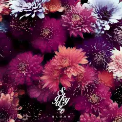 Bloom by Skygaze