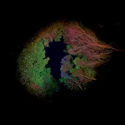Hidden Island Music (Untitled #398) by Francisco López