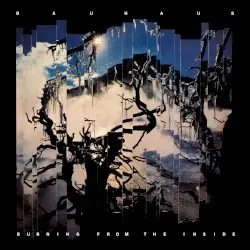 Burning From the Inside by Bauhaus