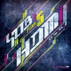 S2TB Files5:HDM by kors k
