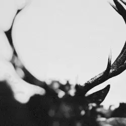 Ihsahn by Ihsahn
