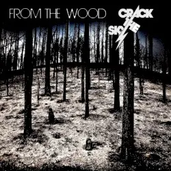 From the Wood by Crack the Sky