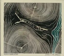 Rivers in the Wasteland by NEEDTOBREATHE