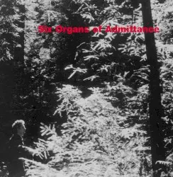 Six Organs of Admittance by Six Organs of Admittance