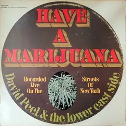Have a Marijuana by David Peel & The Lower East Side