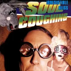 Irresistible Bliss by Soul Coughing
