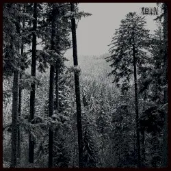 Loth by Loth