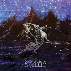 Skellig by David Gray