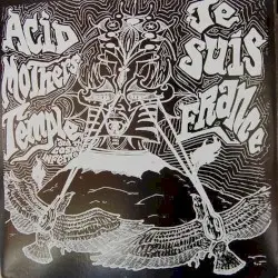 The Load Is a Virgin Killer / Hot Doggin' on a Flip Flop by Acid Mothers Temple & The Cosmic Inferno / Je Suis France