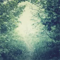 Somewhere In Between by Purl