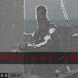 ＲＥＳＴＲＩＣＴＥＤ by 야생ｋｉｎｅｔｉｃ꿈